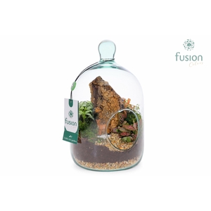 Green Bottle Novella Small met arrangement