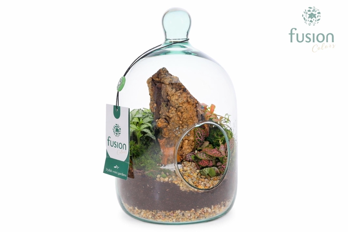 <h4>Green Bottle Novella Small met arrangement</h4>