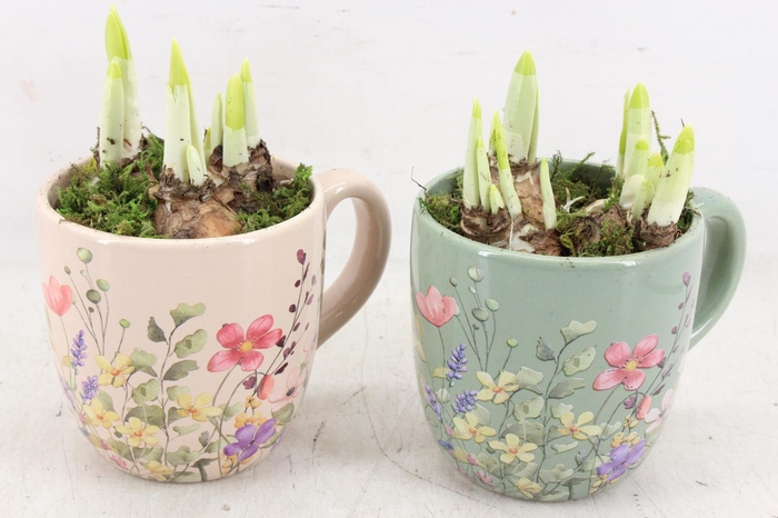 <h4>arr4 Narcis RN - Floral Finesse mug x8</h4>