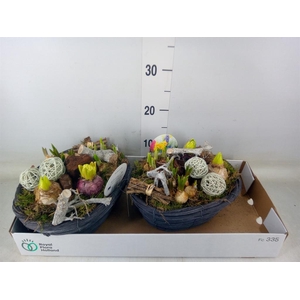 Arr.   Bol/Knolgewas L%