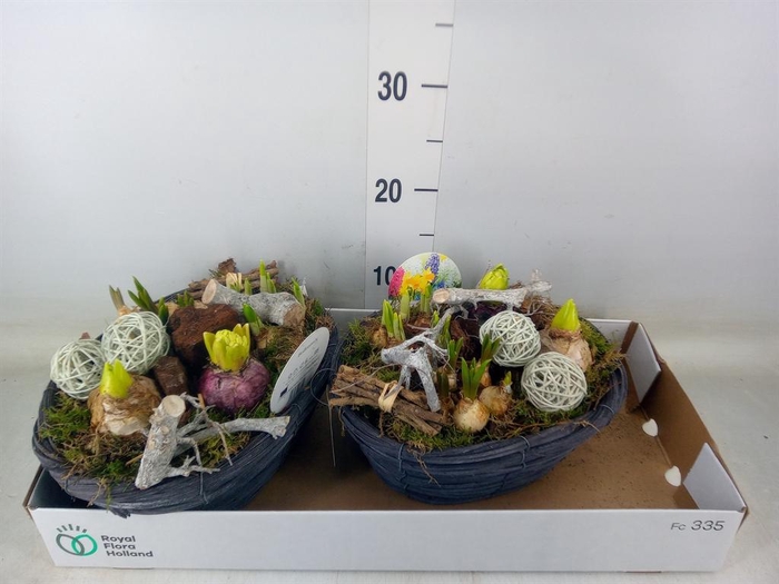 <h4>Arr. Bol/Knolgewas L%</h4>