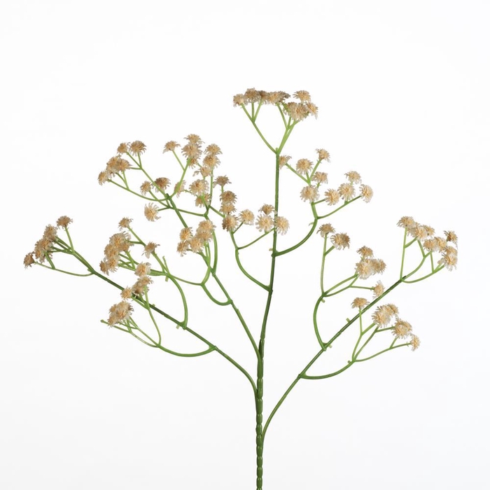 <h4>AF Gypsophila spray L62cm cr</h4>