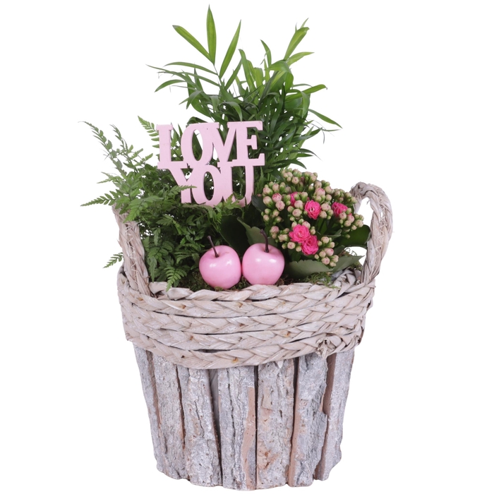 <h4>Mothersday Arr. Indoor Wooden White Washed Bark Bucket Ø22cm 3PP</h4>