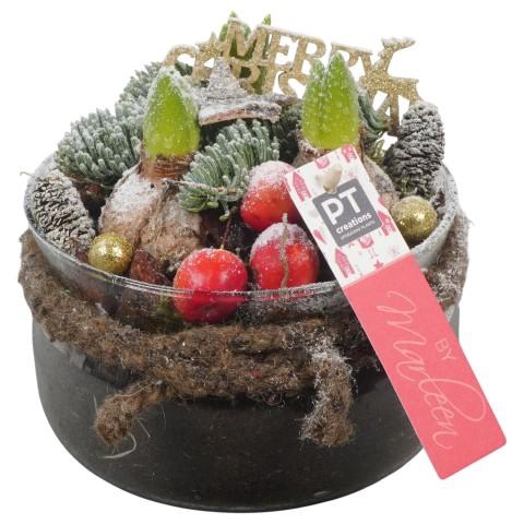 <h4>PTHCH6762 Arrangementen Hyacinthus</h4>