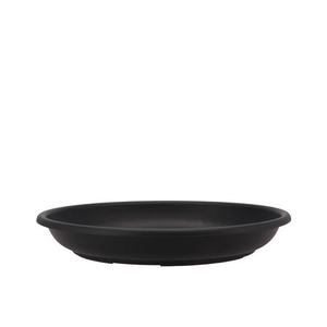 Floristry Plate 30cm P/10 Black