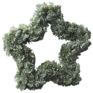 Krans Ster Nobilis 30cm