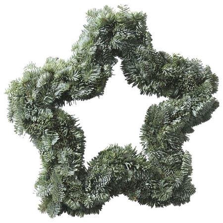 <h4>Krans Ster Nobilis 30cm</h4>