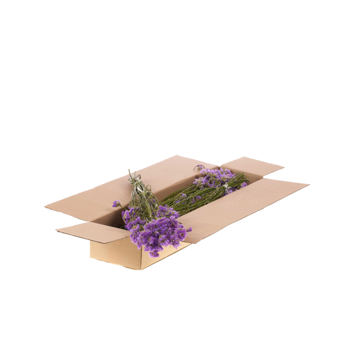 <h4>Statice Sinuata Sb Natural Dark Lilac</h4>