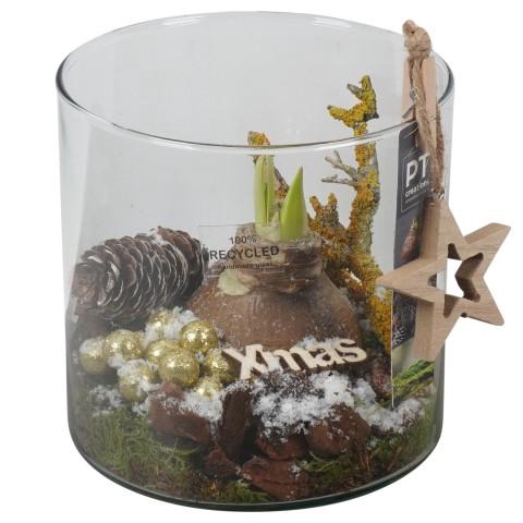 <h4>PTACH5943 Arrangementen Kerst</h4>