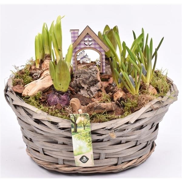 <h4>Wilg mand ovaal 27x23cm</h4>