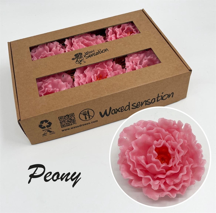 <h4>Zijde Pioen Wx Rose</h4>