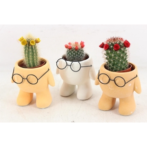 arr3 UB - Ker. xavier glasses x12