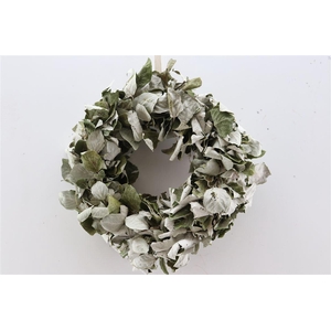 Wr Peupelier Leaves Naturel 30cm