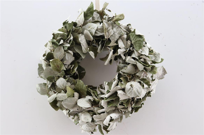 <h4>Wr Peupelier Leaves 30cm Naturel</h4>