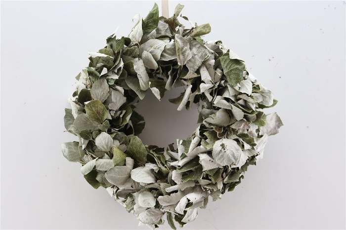 Wr Peupelier Leaves Naturel 30cm