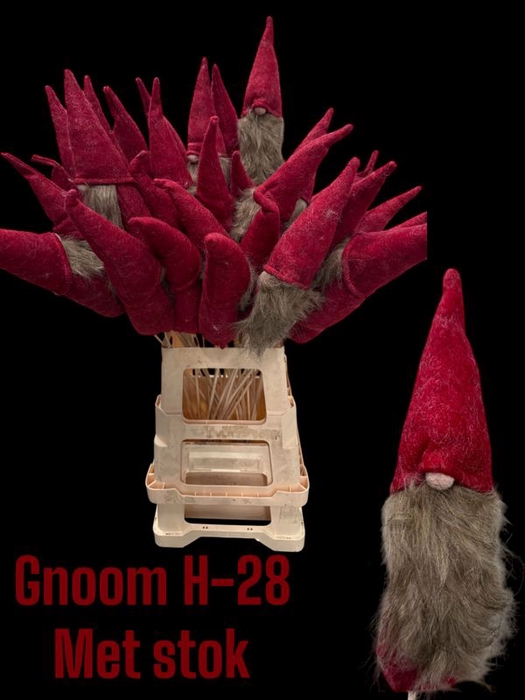 <h4>GNOOM OP STOK ROOD</h4>