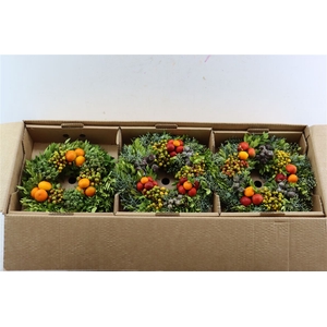Wr Sierfruit 30cm (anttar)