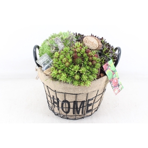 arr4 Semp MB - Jute/gaas mand home XL