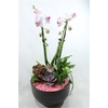 0941 Cascade PINK