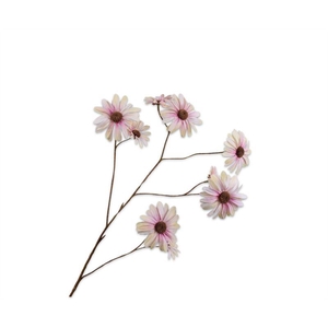MARGRIET TAK GRN/MVE