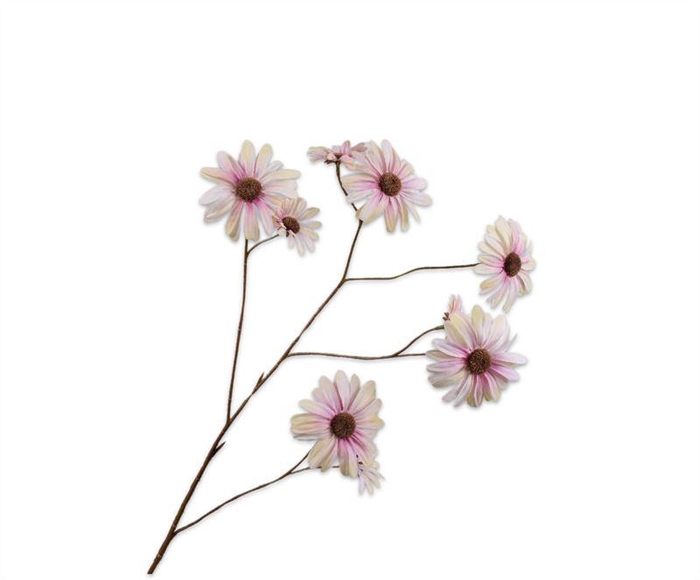 <h4>MARGRIET TAK GRN/MVE</h4>