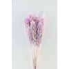 Dried Sorghum 6pc Mallow Bunch