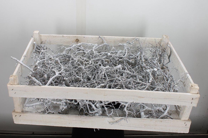 <h4>Deco Bonsai Crate White 100 Pcs L60w40</h4>