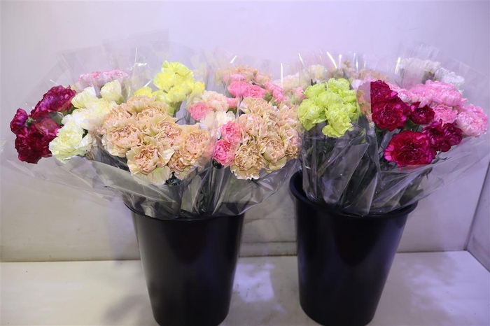 <h4>Di St Gem In Fust X8</h4>