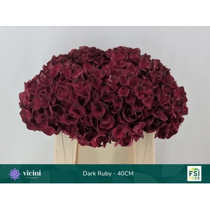 HYDR M MAG DARK RUBY