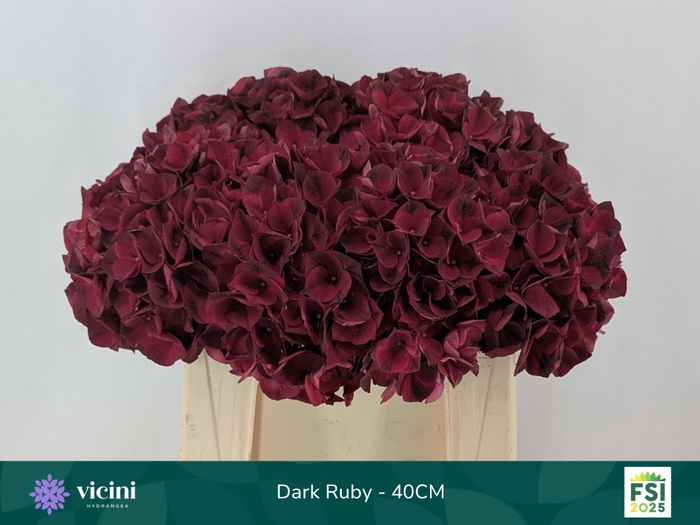 <h4>HYDR M MAG DARK RUBY</h4>