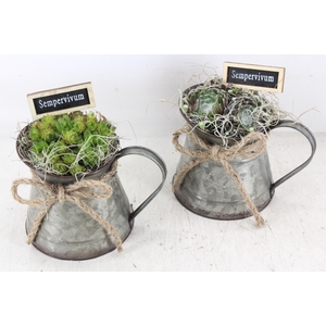 arr4 Semp JS - Zink kannetje green 338/6