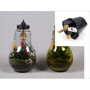 Glas Terrarium helder XXL Bromelia met verlichting en Engelse stekker