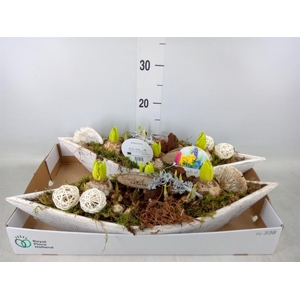 Arr.   Bol/Knolgewas L%