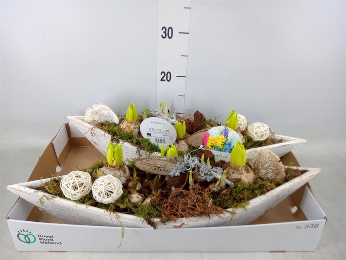 <h4>Arr.   Bol/Knolgewas L%</h4>