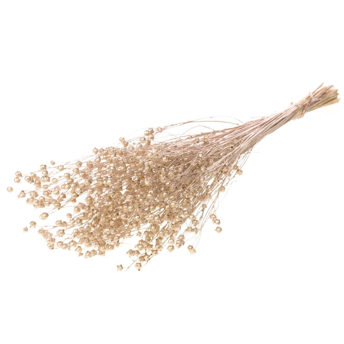 <h4>Linum Warm Gold</h4>
