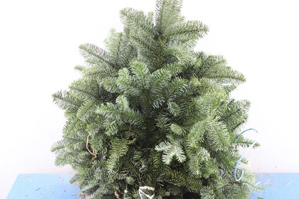 <h4>Deco Gr Nobilus Per Bos</h4>