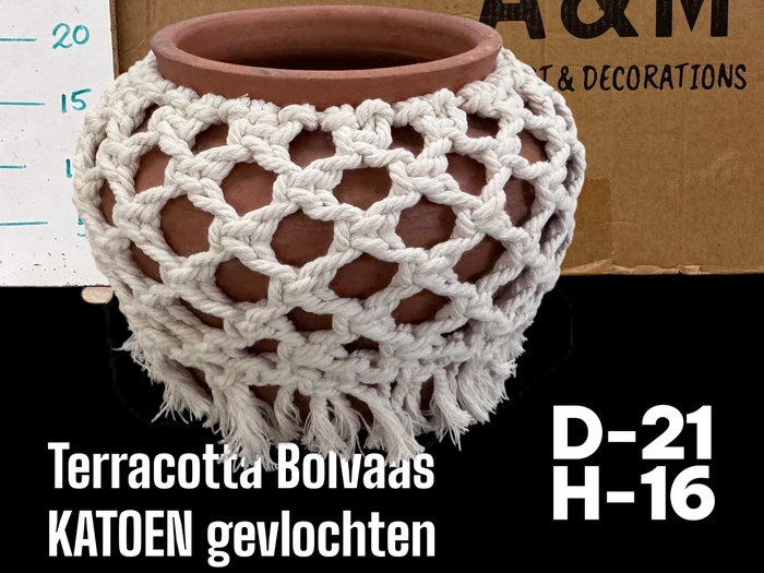 <h4>POT H%</h4>