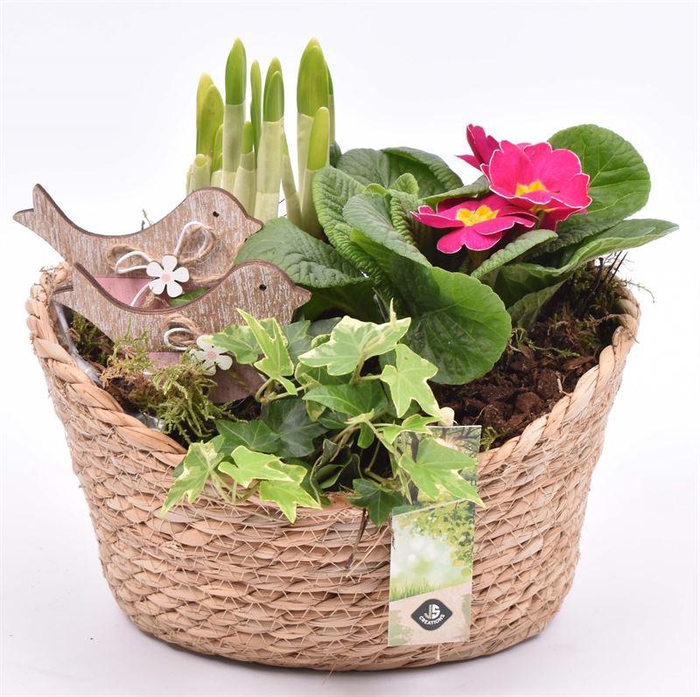 <h4>Touwmand ovaal 23x18.5cm</h4>