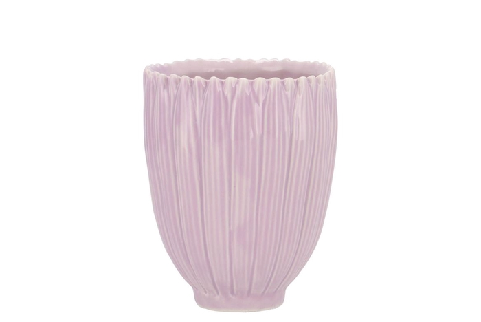 <h4>Bloom Daisy Dreamy Purple Cup 9x9x11cm</h4>