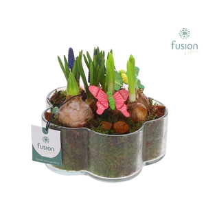 Glazen Bloemschaalmet Mixbol arrangement