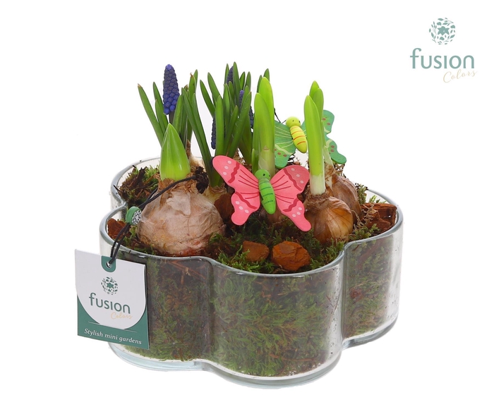 <h4>Glazen Bloemschaalmet Mixbol arrangement</h4>