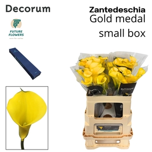 ZANT GOLD MEDAL MEDIUM BOX 60 CM 20 ST.