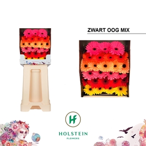 Germini Mix Pastel Diamond