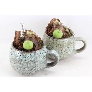 arr4 Amaryllis MB - Ker. luxe mok 338/6