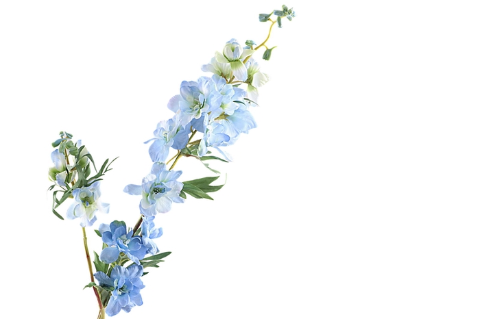 <h4>Delphinium Blue</h4>