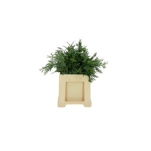 Conifeer Groen (5 Bos Per Emmer)