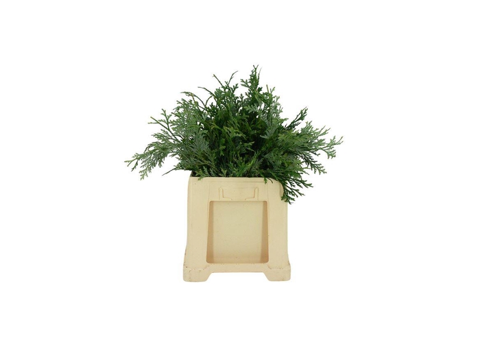 <h4>Conifeer Groen (5 Bos Per Emmer)</h4>