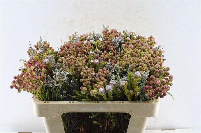 <h4>Kaaps Groen Gemengd In Bos</h4>