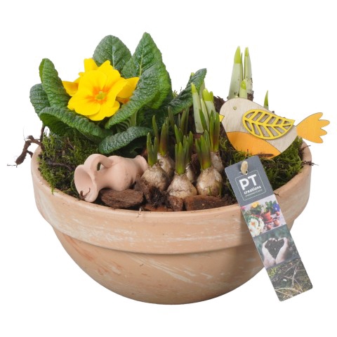 <h4>PTBM3075 Arrangementen Tuinplanten</h4>