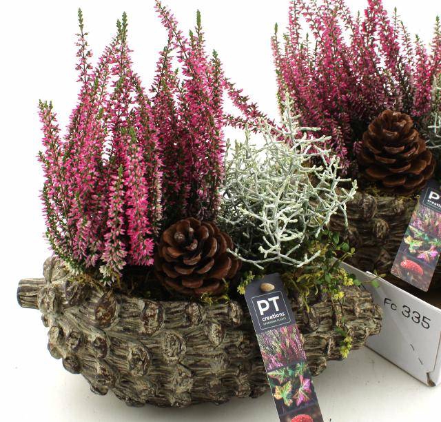 <h4>ARR TUINPLANTEN</h4>
